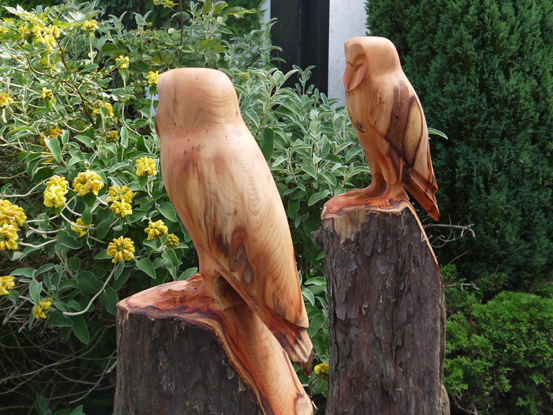 Pair of Owls
